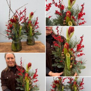 Jule amaryllis i glas vase